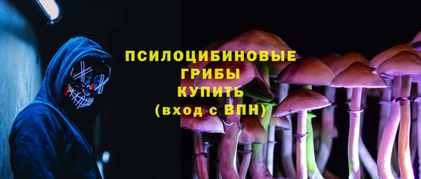 стафф Пересвет
