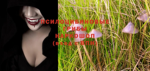 мдпв Осинники