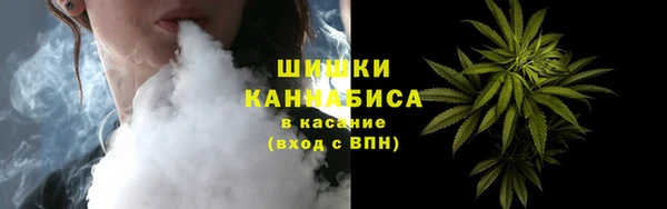 мдпв Осинники