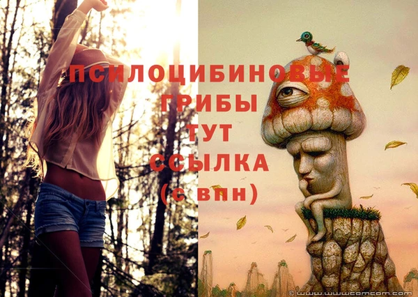 спиды Остров
