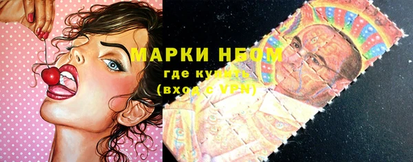 мдпв Осинники
