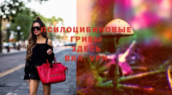 герыч Осташков