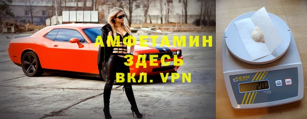 мдпв Осинники