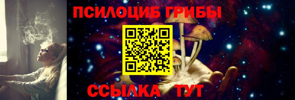 Галлюциногенные грибы GOLDEN TEACHER  Псилоцибиновые грибы прущие грибы  Владивосток  Вход с VPN 