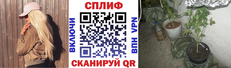 Марихуана гибрид  Владивосток 